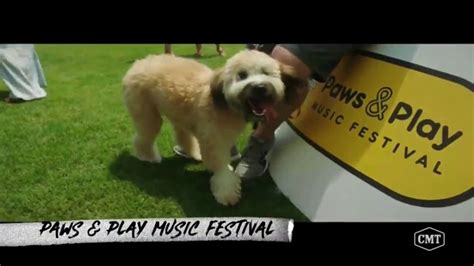 Pedigree TV Spot, 'CMT: Paws & Play Festival' Featuring Cassadee Pope