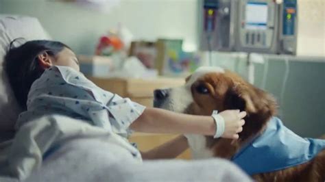 Pedigree TV commercial - Therapy