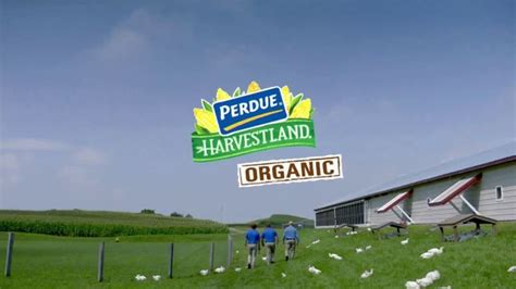 Perdue Farm TV commercial - Vegetarian Diet
