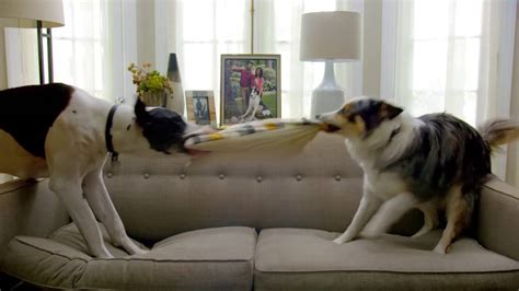 Pergo TV Spot, 'Dog Party' featuring Beth Dover