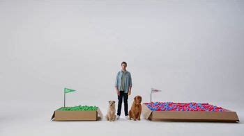Pet Supplies Plus TV commercial - Boxes of Balls
