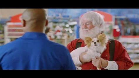 PetSmart Celebrate the Season TV Spot featuring Arvie Lowe Jr.