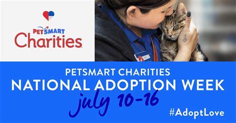 PetSmart Charities TV commercial - National Adoption Week: Every 38 Seconds