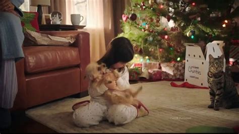 PetSmart Holiday TV Spot, 'Toys and Treats' featuring Kenny Cooper