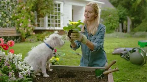 PetSmart Spring Savings Sale TV commercial - Dig the Savings
