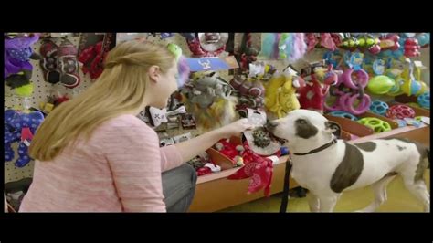 PetSmart TV Commercial For The Toy Chest Aisle