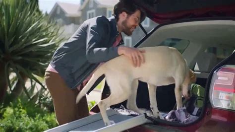 PetSmart TV Spot, 'Anything for Pets: DoorDash: B&W Stroller Stop'