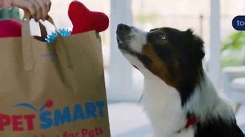 PetSmart TV commercial - HGTV: Top Tips