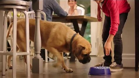 PetSmart TV Spot, 'Natural Balance'