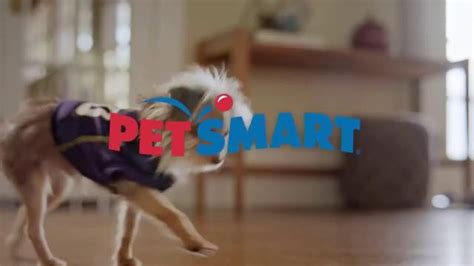 PetSmart TV Spot, 'Outside' Featuring Charlie White, Song by Queen