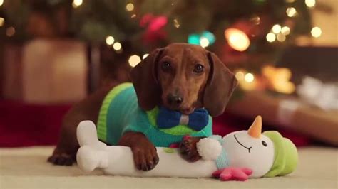 PetSmart TV commercial - Pets Holiday Special: Holiday Toys