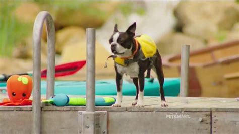 PetSmart TV commercial - Summer Adventures