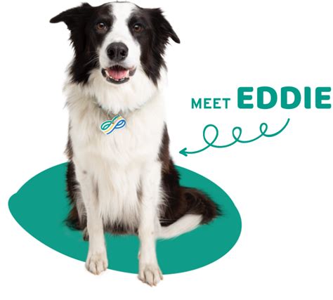 Physicians Mutual Pet Insurance TV Spot, 'Meet Eddie' created for Physicians Mutual