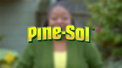 Pine-Sol TV Spot, 'Stay Home, Baby' featuring Diane Amos