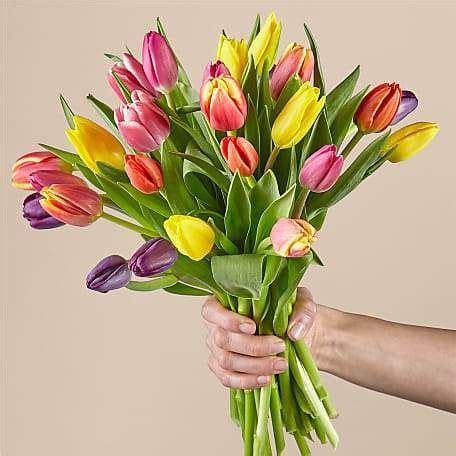 ProFlowers Spring Breeze Multicolored Tulip Bouquet logo