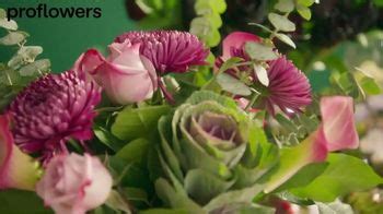 ProFlowers TV Spot, 'Making It Simple: Fall Flowers' created for ProFlowers