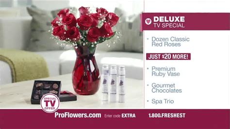 ProFlowers TV Spot, 'Valentine's Day: Red Roses' featuring Karl Chaffey