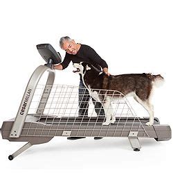ProForm Dog Treadmill commercials