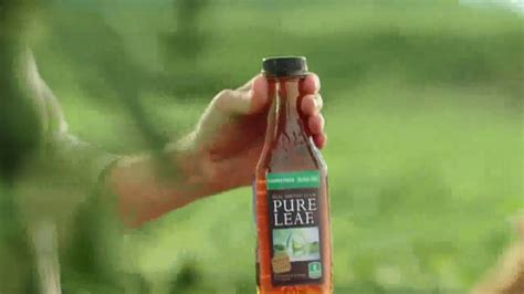 Pure Leaf Unsweetened Black Tea TV commercial - Fresh Picked