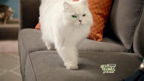 Purely Fancy Feast TV Spot, 'The Details' created for Fancy Feast