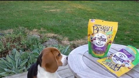 Purina Beggin' TV Spot, 'Bonkers for Beggin: Purple Leash Project' Song by Johnny Wishbone created for Purina Beggin'
