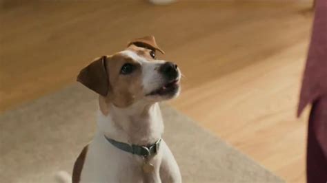 Purina Beneful Chopped Blends TV Spot, 'Yes, I Want to Eat!'