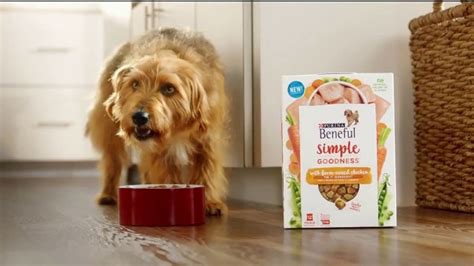 Purina Beneful Simple Goodness TV commercial - Real Meat: Variety of Products