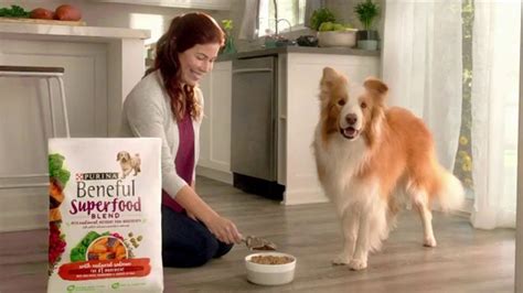 Purina Beneful Superfood Blend TV commercial - Súper saludable: Grain Free