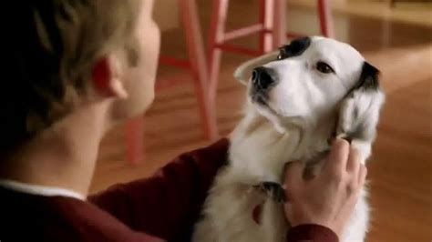 Purina Beneful TV Spot, 'Happy, Healthy Dog' featuring David DeLuise