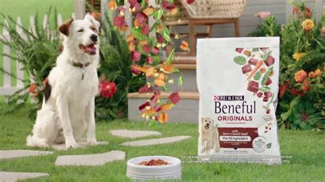 Purina Beneful TV commercial - Natural Recipes