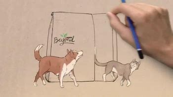 Purina Beyond Grain Free TV Spot, 'Drawings' featuring Christian Rosselli