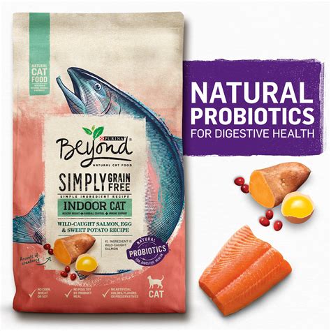Purina Beyond Grain-Free Salmon & Sweet Potato Recipe in Gravy Canned Cat Food logo