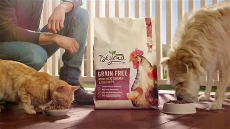 Purina Beyond TV commercial - Honestly