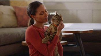 Purina Beyond TV Spot, 'You Know Them' featuring Dana Powers