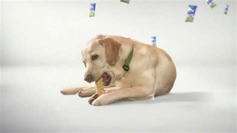 Purina Busy TV Spot, 'Get Busy' Song by George Clinton