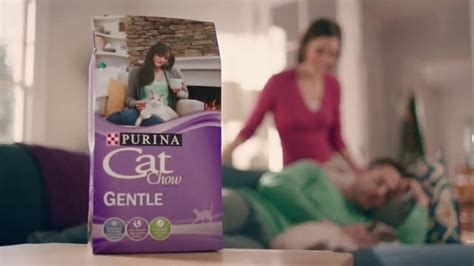 Purina Cat Chow Gentle TV Spot, 'Adjustments' featuring Ashley St. George