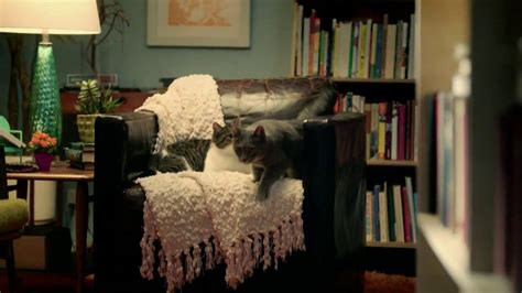 Purina Cat Chow Healthy Weight TV commercial - Bookstore