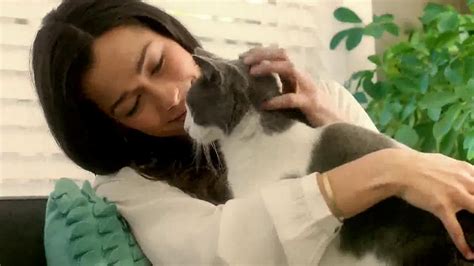 Purina Cat Chow Naturals TV Spot, 'Coming Home'