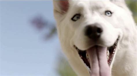 Purina Dog Chow Natural TV Spot, 'Barbara'