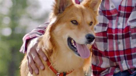 Purina Dog Chow TV Spot, 'Oddie y Django'