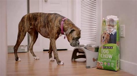 Purina Dog Chow TV Spot, 'Why Nick is Proud to Make Purina Dog Chow'