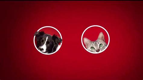 Purina ONE TV Spot, '28 Días. Una mascota visiblemente saludable.' created for Purina ONE