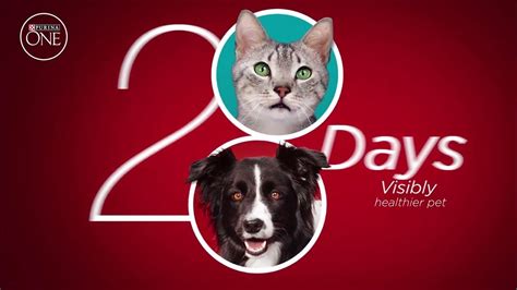 Purina ONE TV Spot, '28 Days. ONE Visibly Healthy Pet' created for Purina ONE