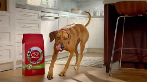 Purina One SmartBlend TV Spot, 'All in One'