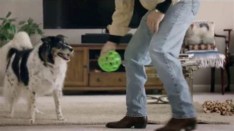 Purina Pro Plan Bright Mind TV Spot, 'Lady' created for Purina Pro Plan
