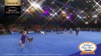 Purina Pro Plan TV commercial - 2021 National Dog Show Champion