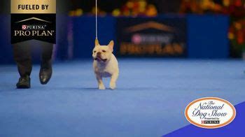 Purina Pro Plan TV Spot, '2022 National Dog Show Best in Show'