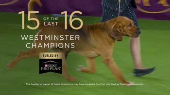 Purina Pro Plan TV Spot, '2023 Westminster Best in Show' created for Purina Pro Plan