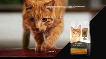 Purina Pro Plan TV Spot, 'Possibilities: The Greatest Possibility'