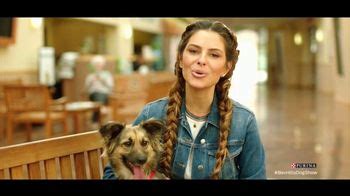 Purina TV commercial - Food Donations for Adoptable Dogs From Purina and the BHDS feat. Maria Menounos
